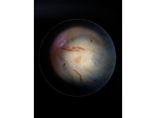 IMG 20191009 113255.jpg