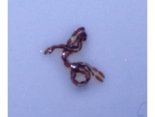 IMG 20191007 164833.jpg