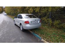 На газоне, октябрь 2019