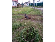 IMG 20191016 114543.jpg