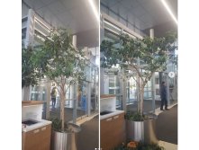 ССЫЛКА.jpg
