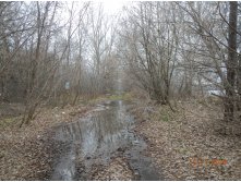 DSCN3266.JPG
