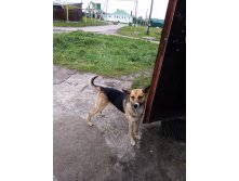 IMG 20191016 114536.jpg