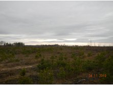 DSCN3175.JPG