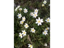 IMG 20190505 170725.jpg