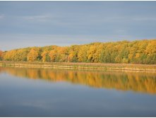 244582019-izobrazenie 095.jpg