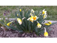 20190504 194346.jpg