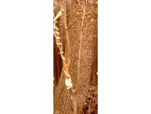 IMG 20200424 223312.jpg