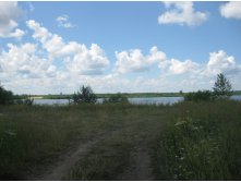 IMG 5311.JPG