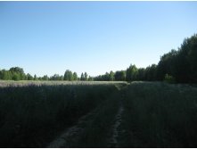 IMG 5461.JPG