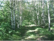 IMG 5438.JPG