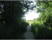 IMG 5450.JPG