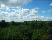 DSCN4176.JPG