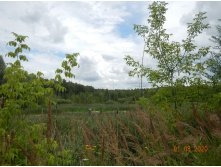 DSCN4616.JPG