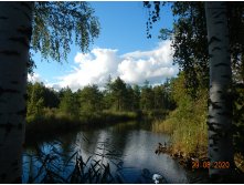 DSCN4937.JPG