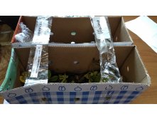 IMG 20200914 102951.jpg