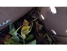 IMG 20200914 103231 HHT.jpg