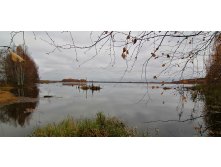 IMG 20201017 101302.jpg