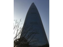 IMG 4662.JPG