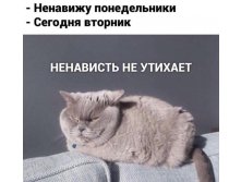  !  .   !