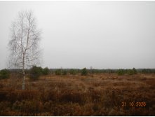 DSCN5070.JPG