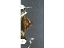 IMG 20201118 123018.jpg