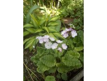 IMG 20190603 100222.jpg