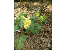 IMG 20190505 164752.jpg