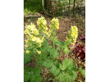 IMG 20190509 123455.jpg