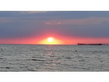 20200718 201039 010 saved.jpg