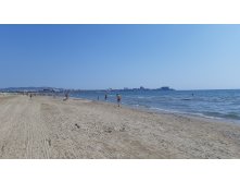 20200717 161646(0).jpg