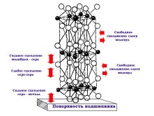 Моли