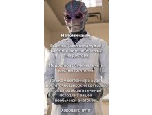 217976 3 nevsedoma com ua.jpg