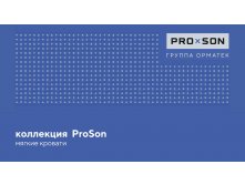 PROSON    01.jpg