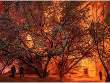 Пожар на Большой Покровской3.jpg