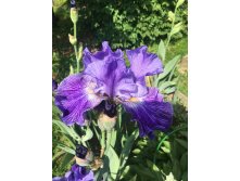 Photo 2022-06-20 22-15-01 (2).jpg