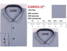 2LBM31+2 slim line.jpg