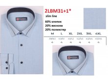 2LBM31+1 slim line.jpg