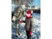 изображение viber 2022-11-26 20-51-53-663.jpg