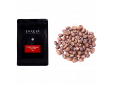 ETHIOPIA SIDAMO DARA 337.png