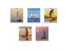 54261 Тетрадь общая ученическая ErichKrause&#174; Sea Breeze, 48 листов, клетка, матовая ламинация Цена 45+% в наличии 20 шт.jpg