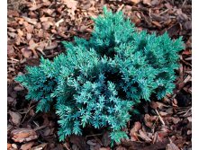     (blue star), 3 15-20, 899 
