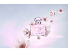 Estee Lauder Beautiful Magnolia   , 50 .  4999 .