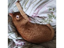 IMG 20231125 131427.jpg