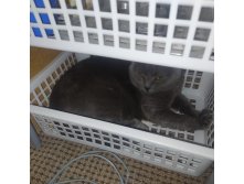 IMG 20231031 130055.jpg