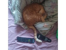 IMG 20231004 111725.jpg