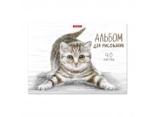 49844 Альбом для рисования на клею ErichKrause Tabby, А4, 40 листов Цена 134+% в наличии 14 шт.jpg