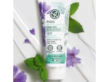     &#8211;     , 75   390 .