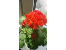   , 50-  , 150- , 100-