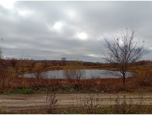 20241026 -  130754.jpg